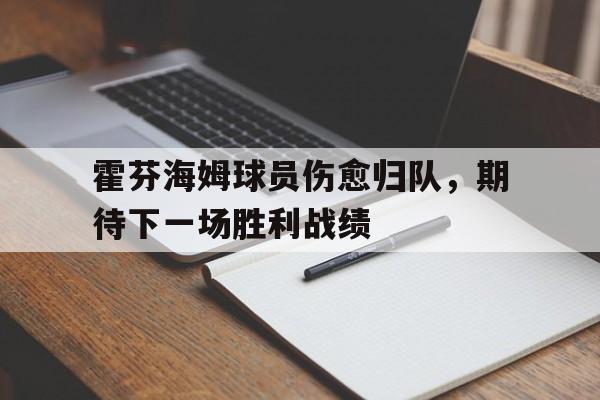 霍芬海姆球员伤愈归队，期待下一场胜利战绩的简单介绍